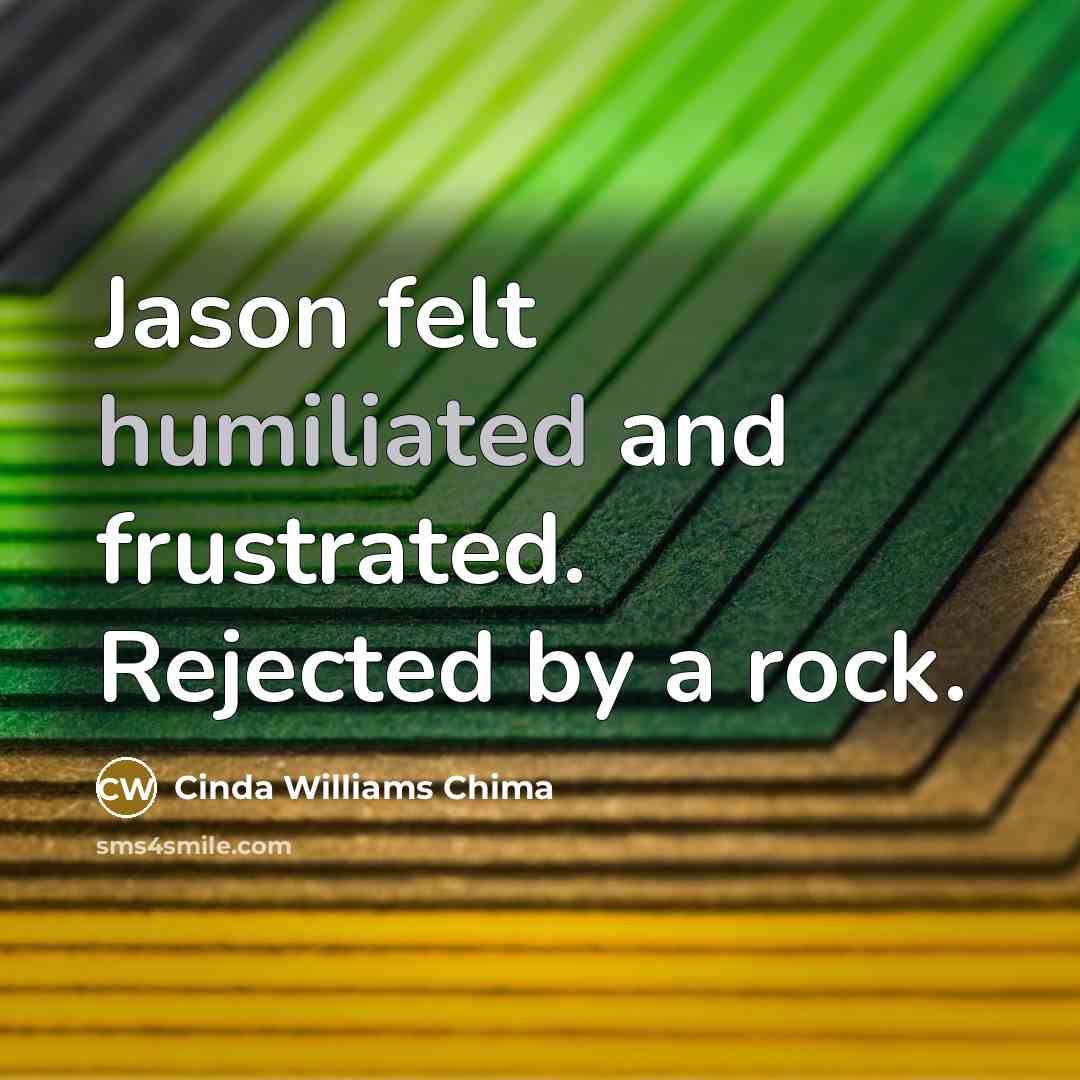 “Jason felt humiliated and frustrated. Rejected by a rock.…” quote by Cinda Williams Chima