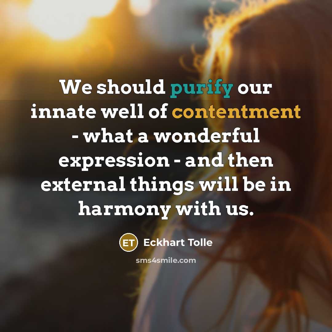“We should purify our innate well of contentment - what…” quote by Eckhart Tolle