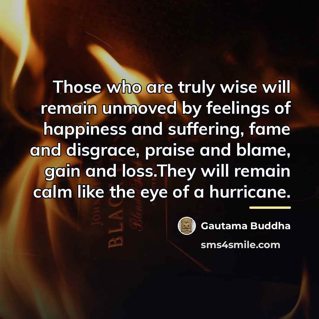 “Those who are truly wise will remain unmoved by feelings…” quote by Gautama Buddha