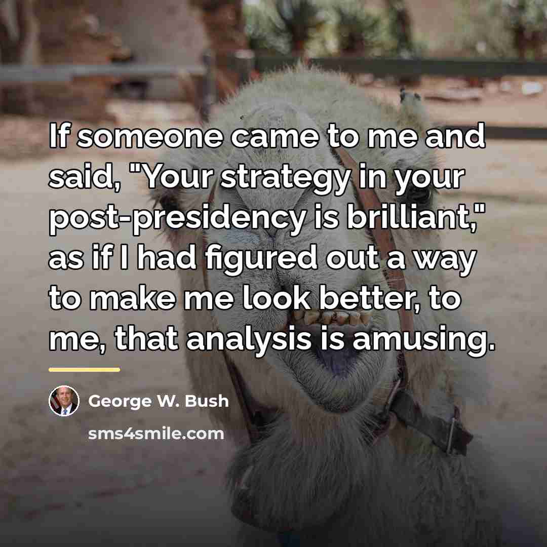 “If someone came to me and said, "Your strategy in…” quote by George W. Bush