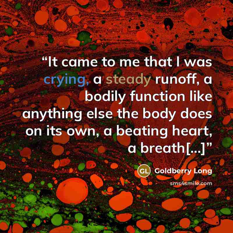 “It came to me that I was crying, a steady runoff, a bodily function like anything else the body does on its own, a beating heart, a breath[...]” quote by Goldberry Long