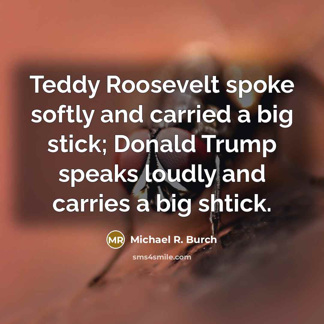 “Teddy Roosevelt spoke softly and carried a big stick; Donald…” quote by Michael R. Burch