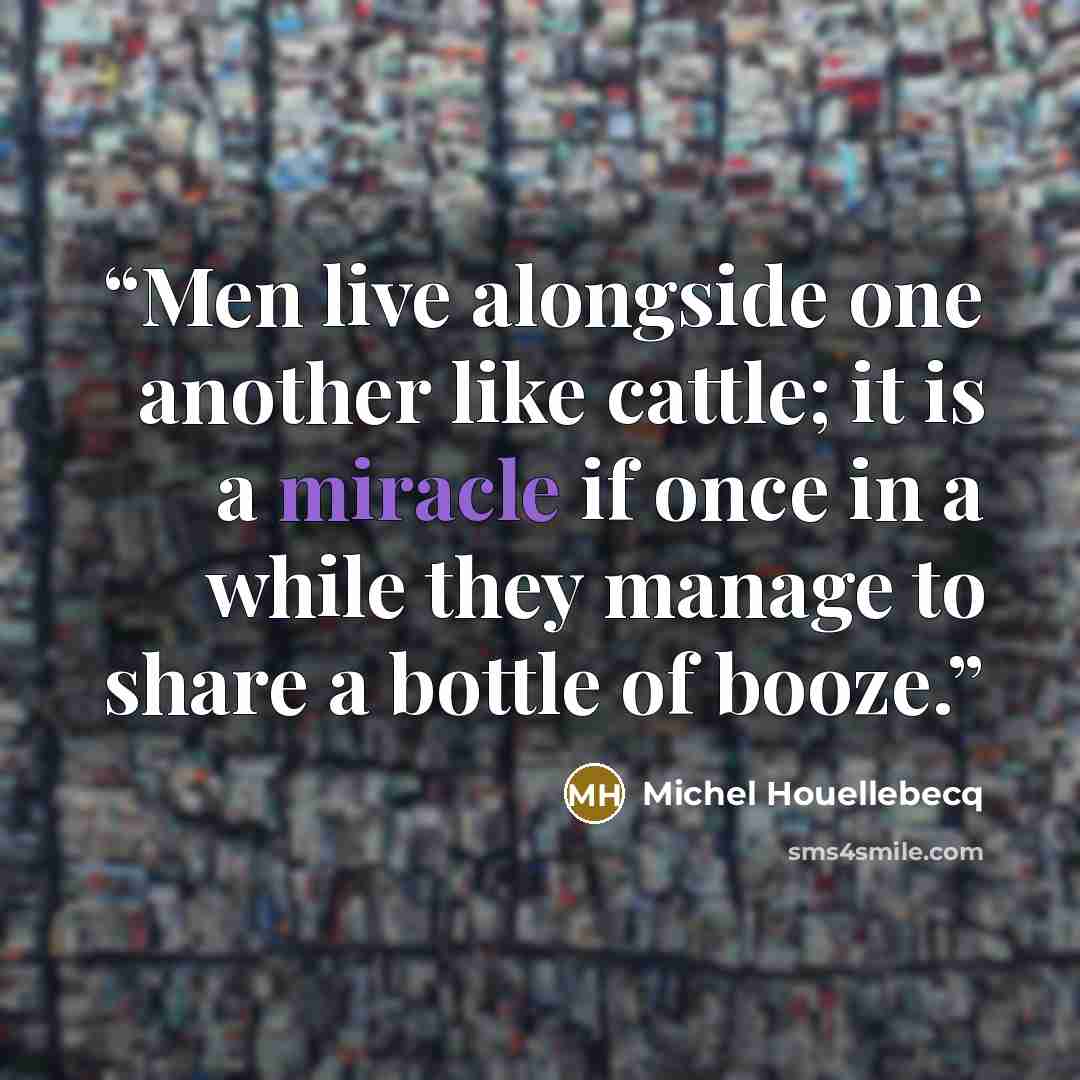 “Men live alongside one another like cattle; it is a miracle if once in a while they manage to share a bottle of booze.” quote by Michel Houellebecq
