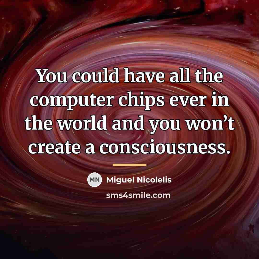 “You could have all the computer chips ever in the…” quote by Miguel Nicolelis
