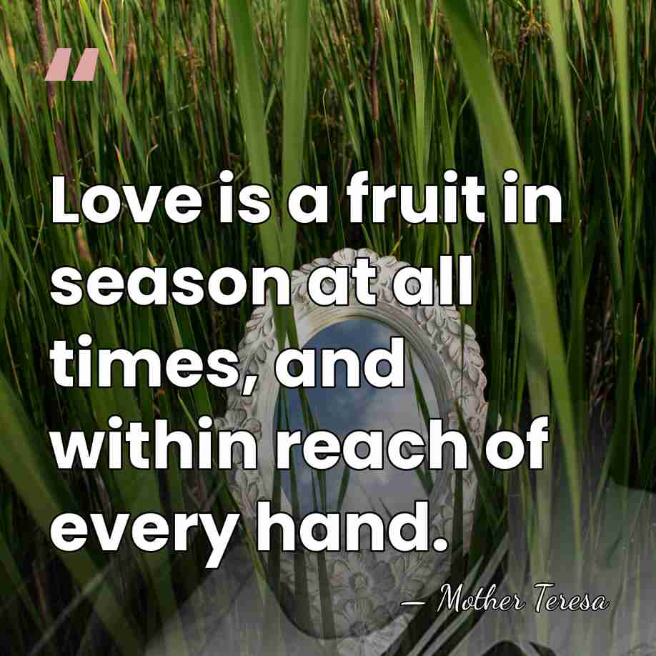 Love is a fruit in season at all times, and within reach&hellip; - Mother Teresa