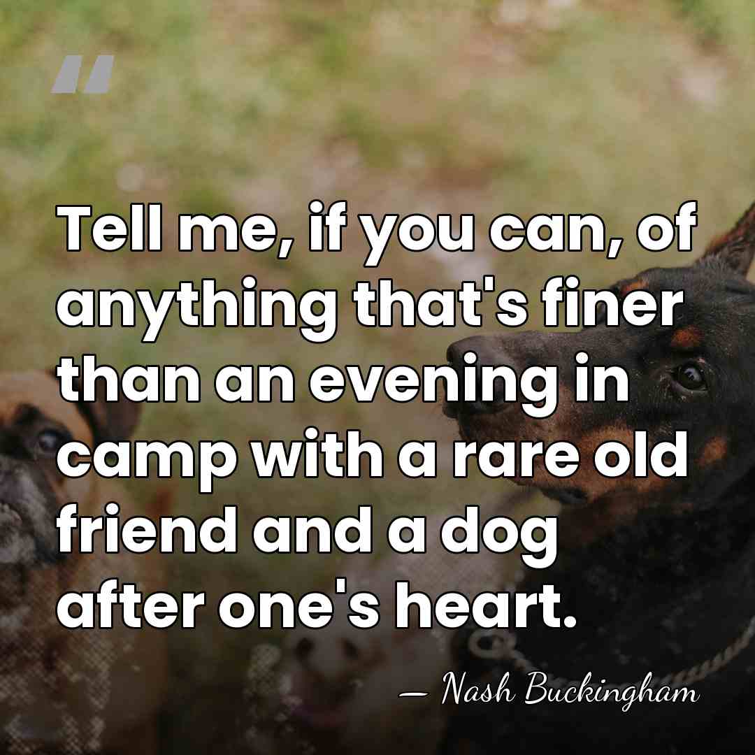 Tell me, if you can, of anything that's finer than an evening&hellip; - Nash Buckingham