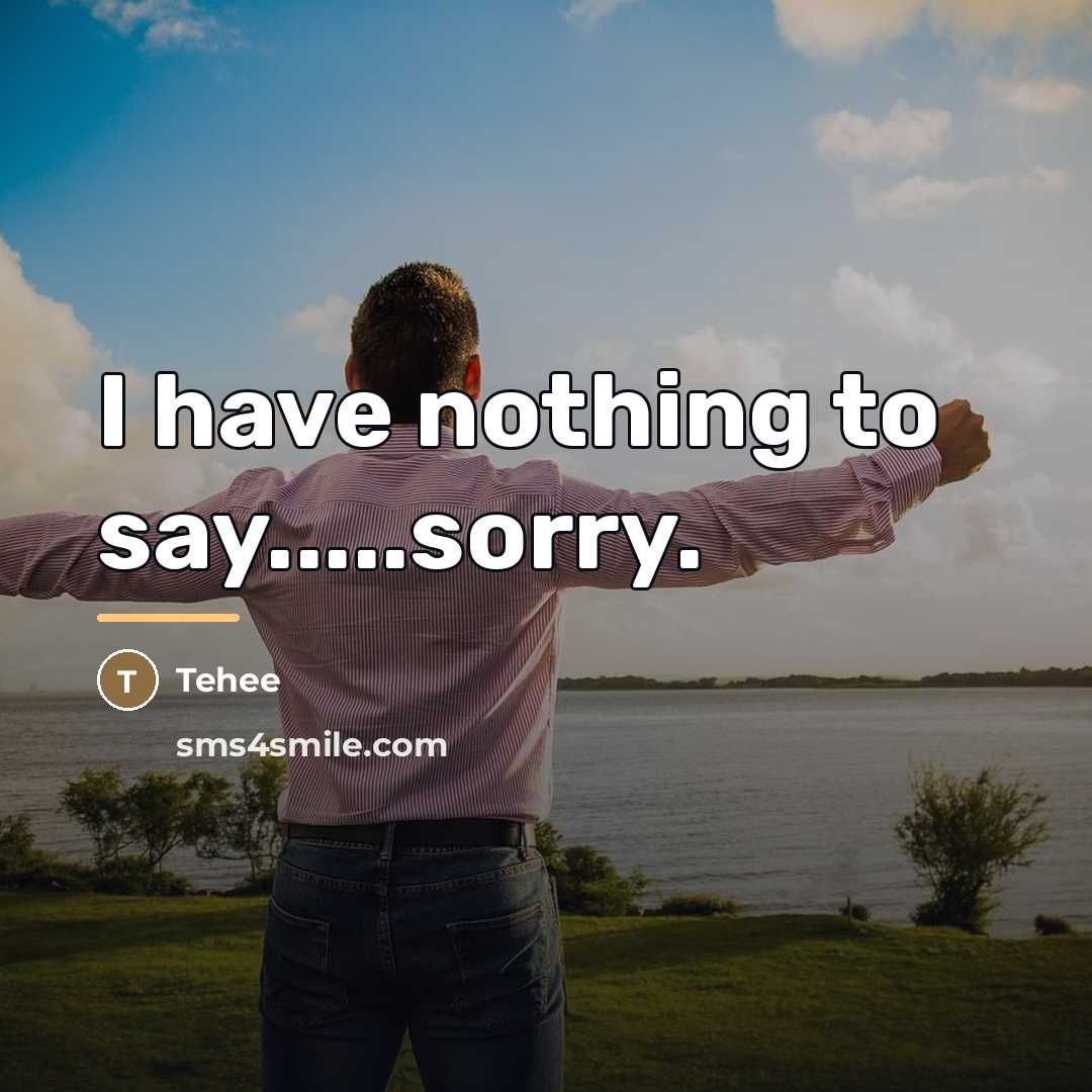 “I have nothing to say.....sorry.…” quote by Tehee