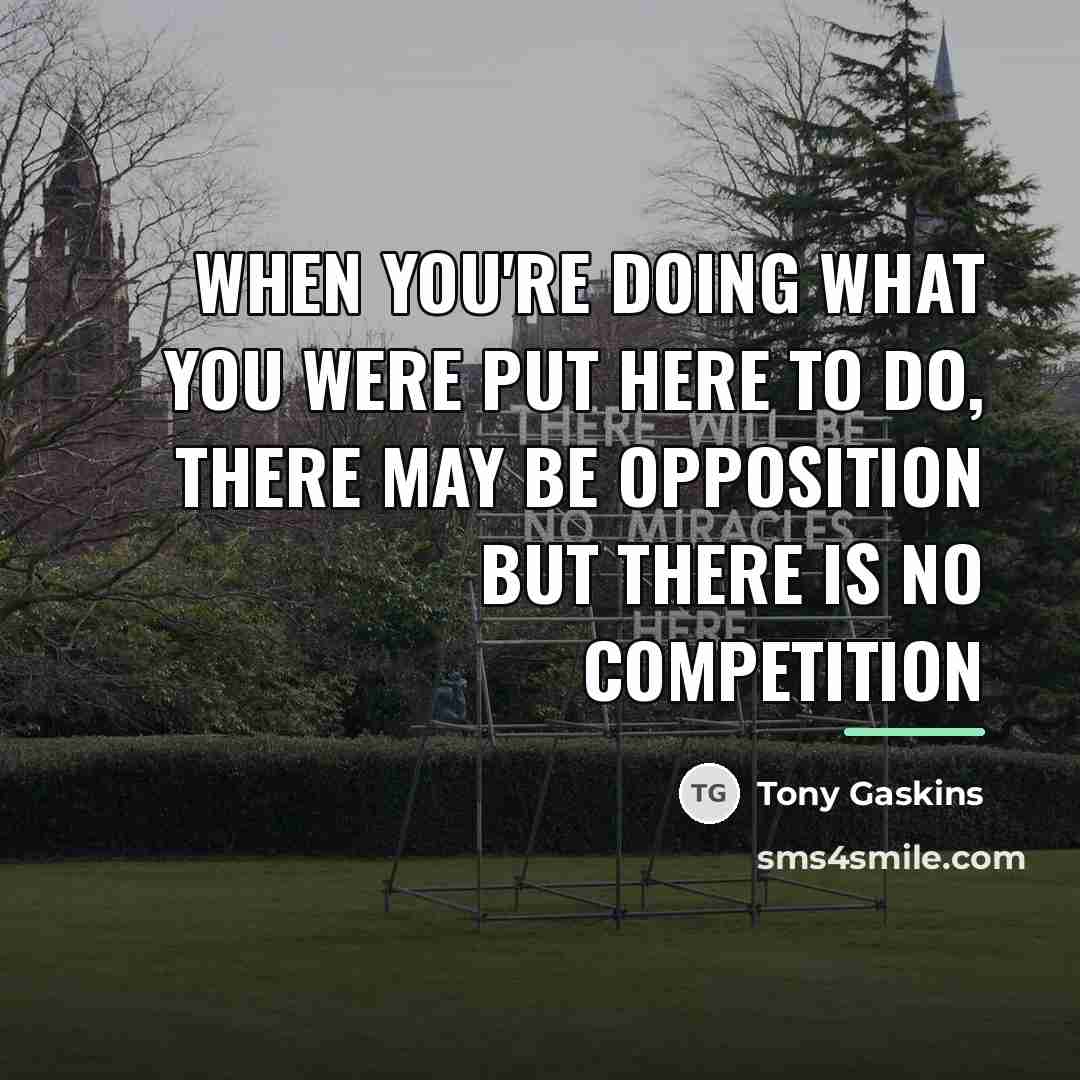“When you're doing what you were put here to do,…” quote by Tony Gaskins