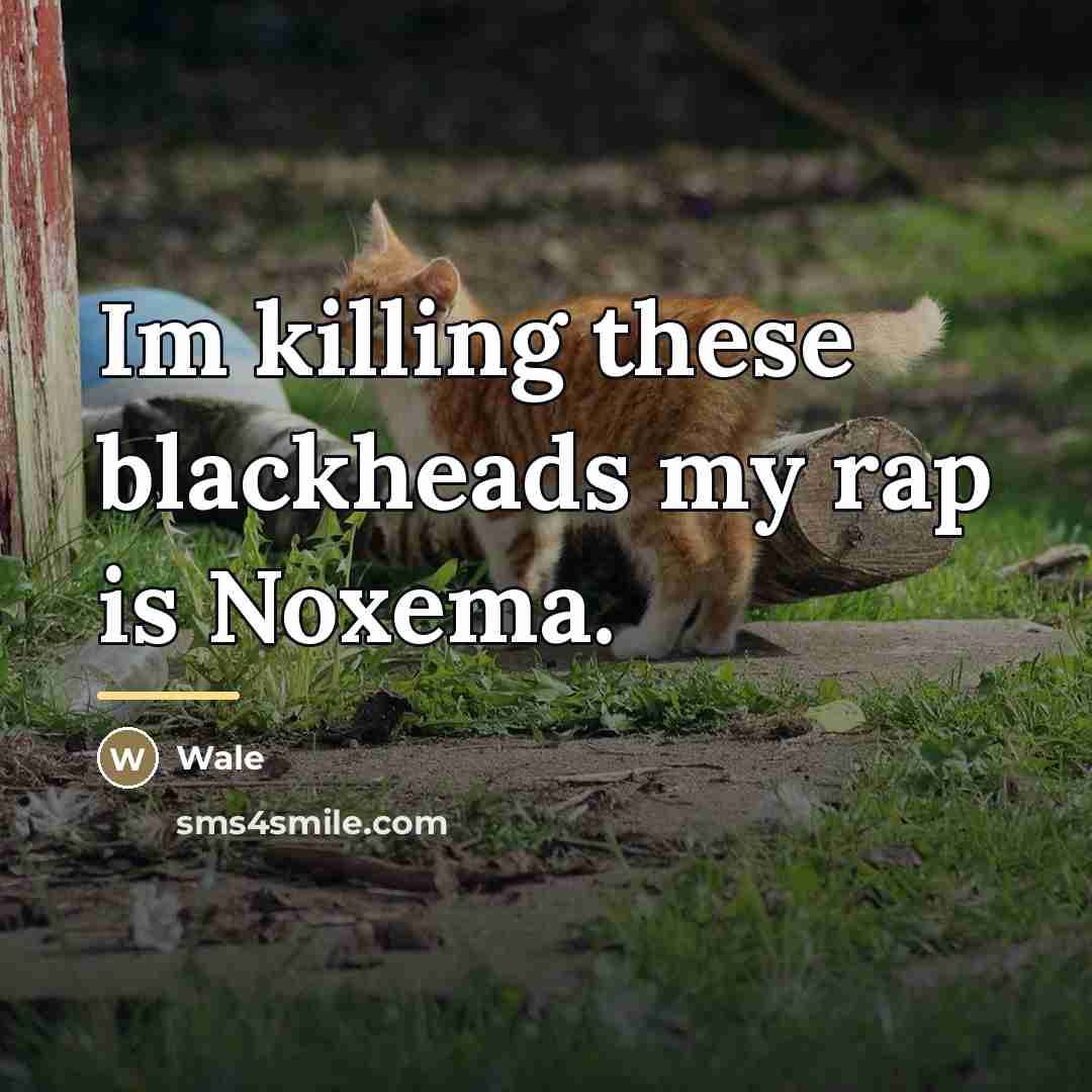 “Im killing these blackheads my rap is Noxema.…” quote by Wale
