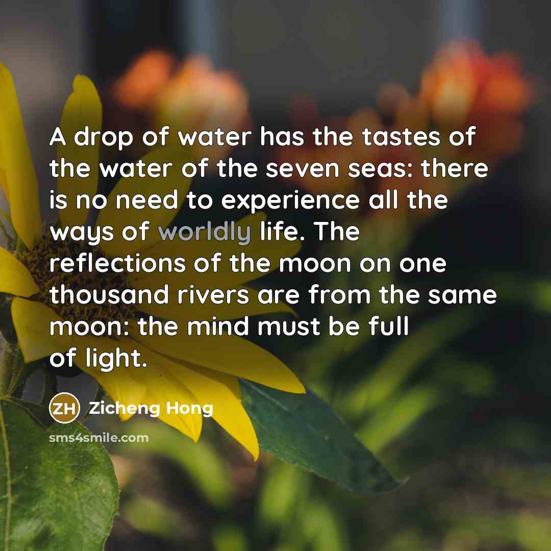 “A drop of water has the tastes of the water…” quote by Zicheng Hong