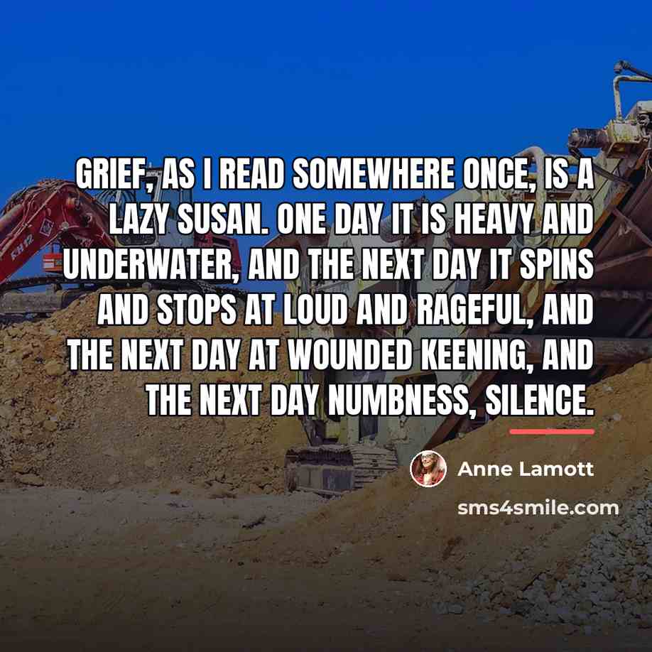 “Grief, as I read somewhere once, is a lazy Susan.…” quote by Anne Lamott