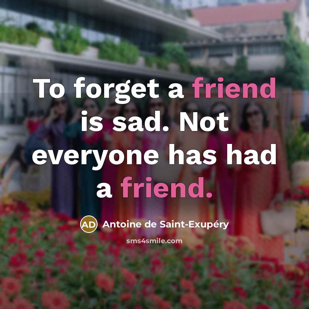 “To forget a friend is sad. Not everyone has had…” quote by Antoine de Saint-Exupery