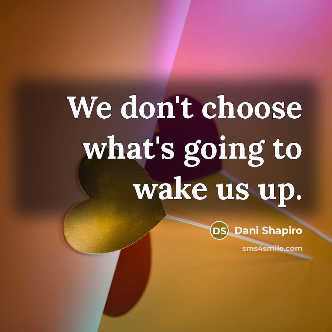 “We don't choose what's going to wake us up.…” quote by Dani Shapiro