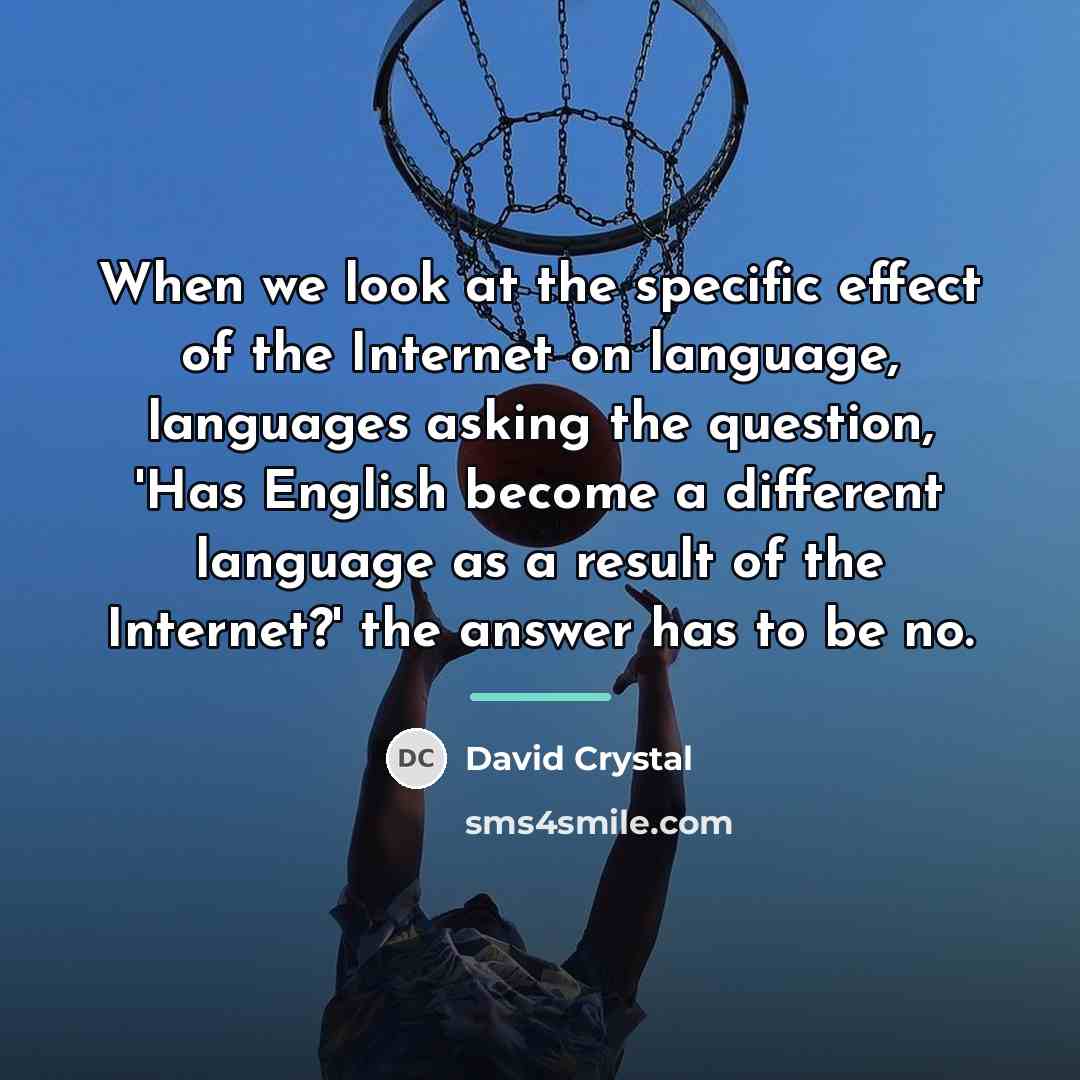 “When we look at the specific effect of the Internet…” quote by David Crystal