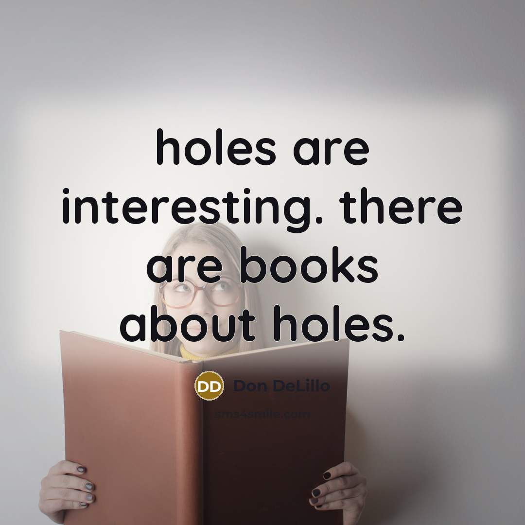 “holes are interesting. there are books about holes.…” quote by Don DeLillo