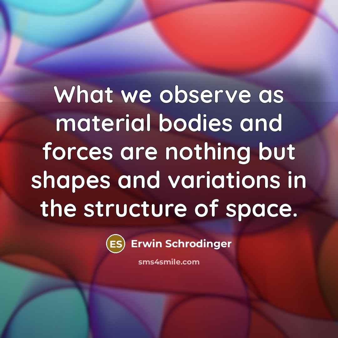 “What we observe as material bodies and forces are nothing…” quote by Erwin Schrodinger