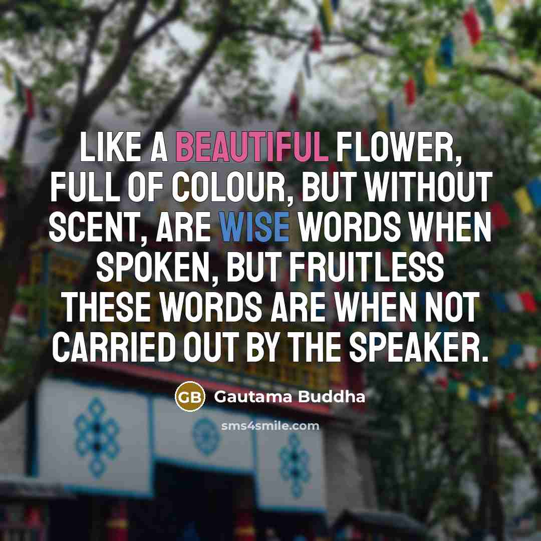 “Like a beautiful flower, full of colour, but without scent,…” quote by Gautama Buddha
