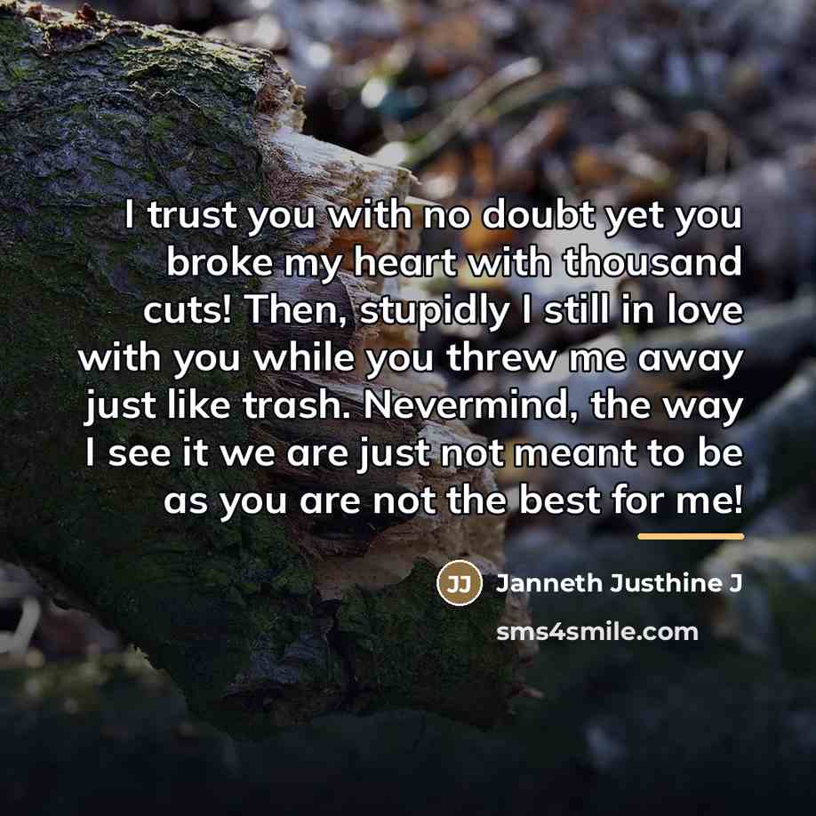 “I trust you with no doubt yet you broke my…” quote by Janneth Justhine J