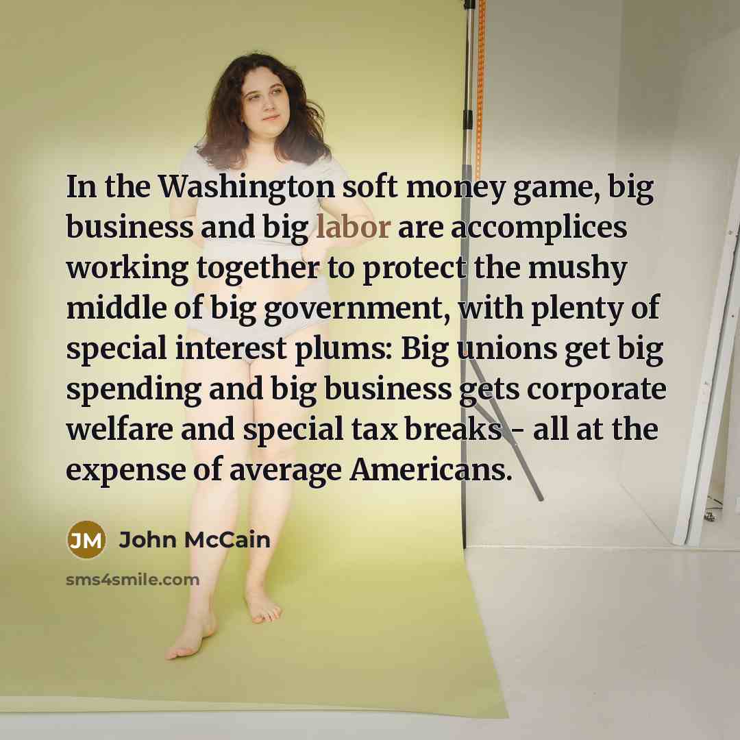 “In the Washington soft money game, big business and big…” quote by John McCain