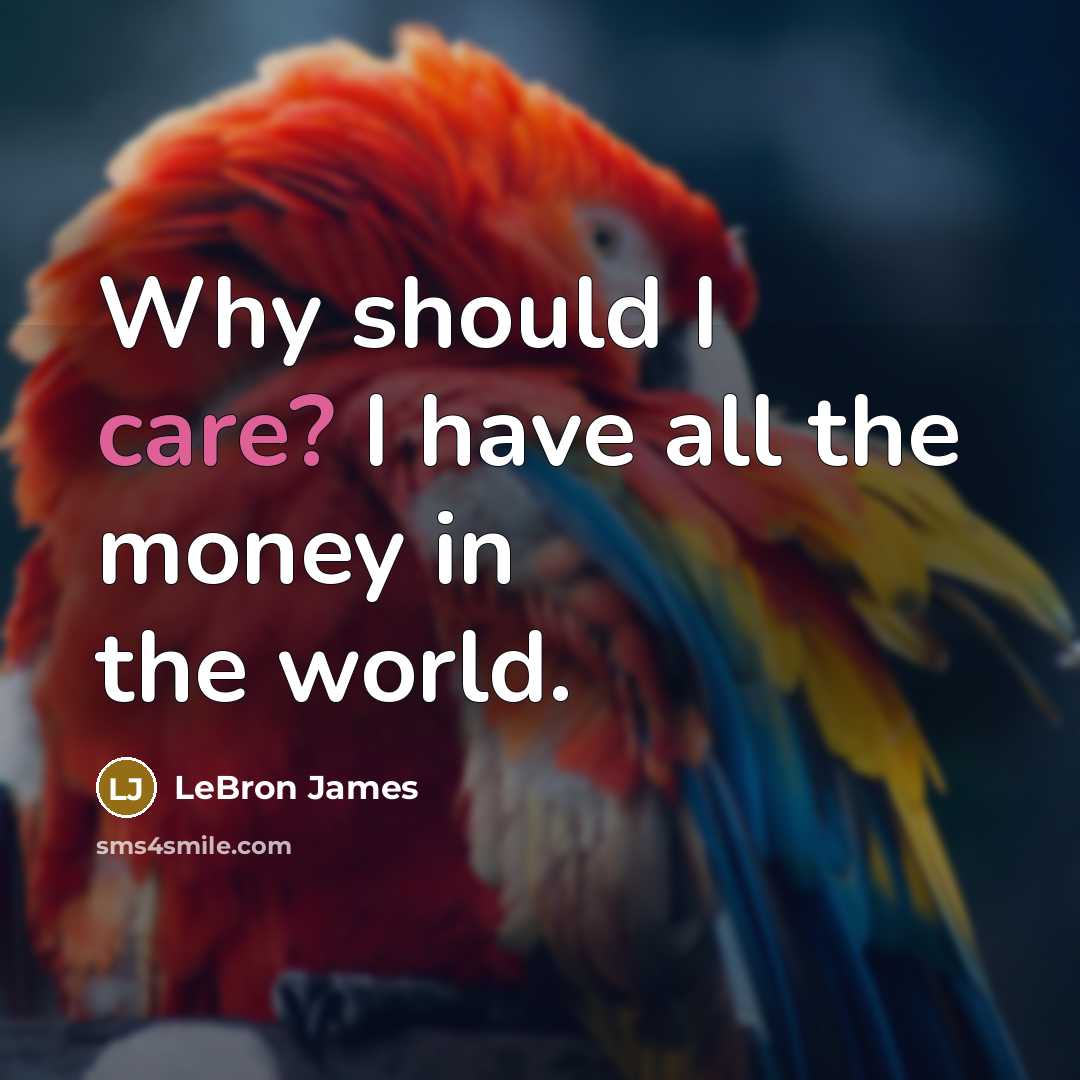 “Why should I care? I have all the money in…” quote by LeBron James