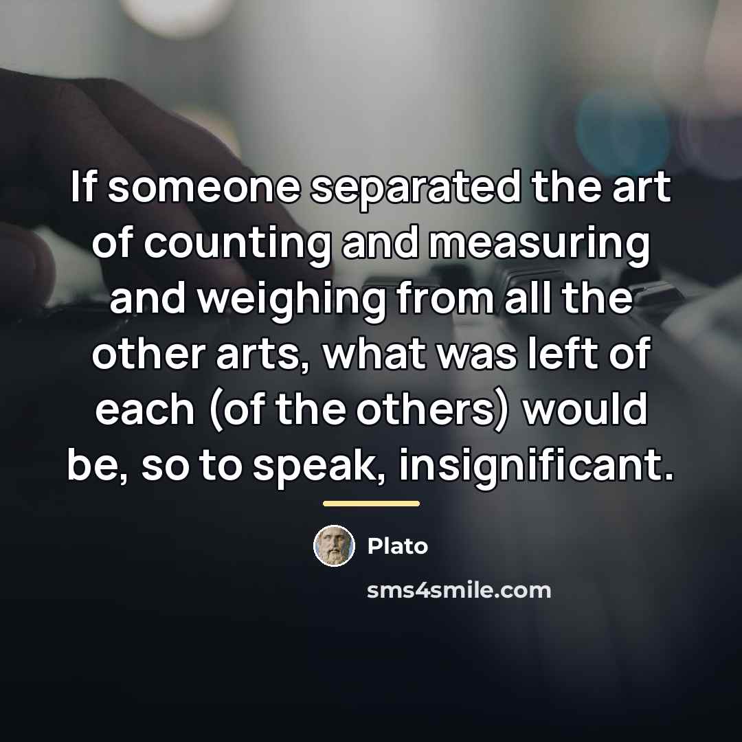 “If someone separated the art of counting and measuring and…” quote by Plato
