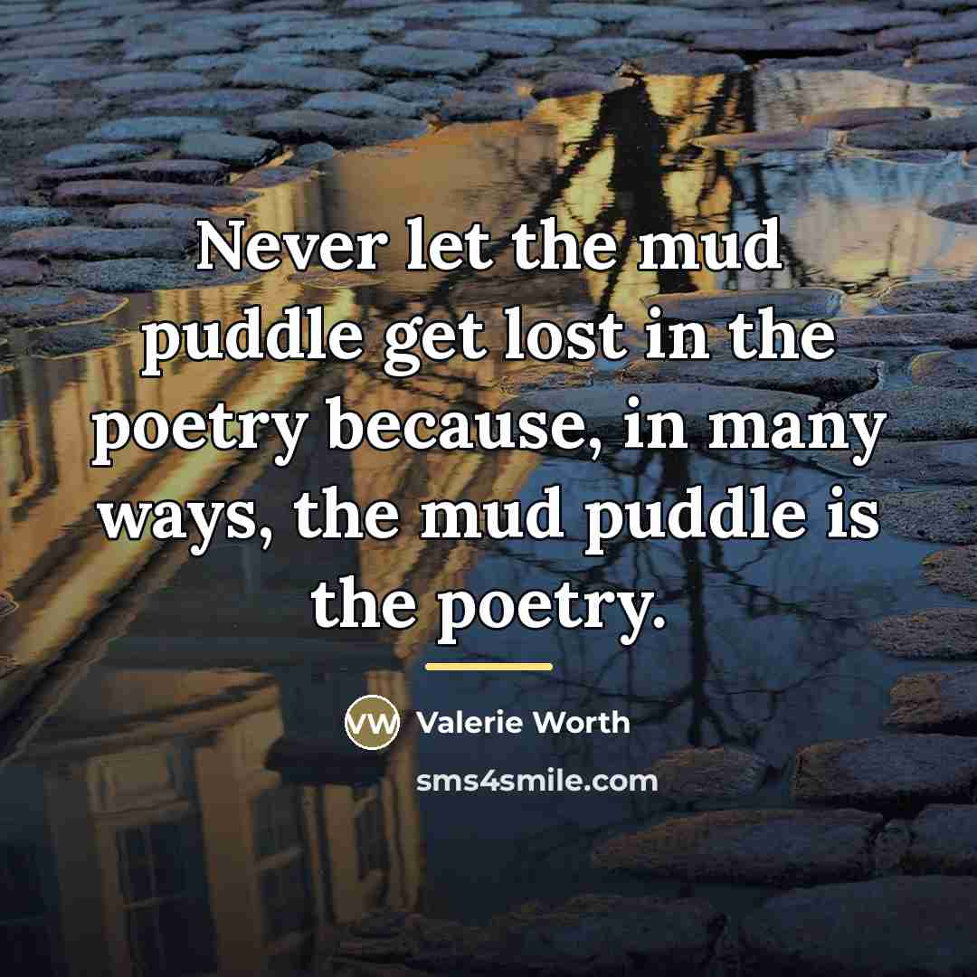 “Never let the mud puddle get lost in the poetry…” quote by Valerie Worth