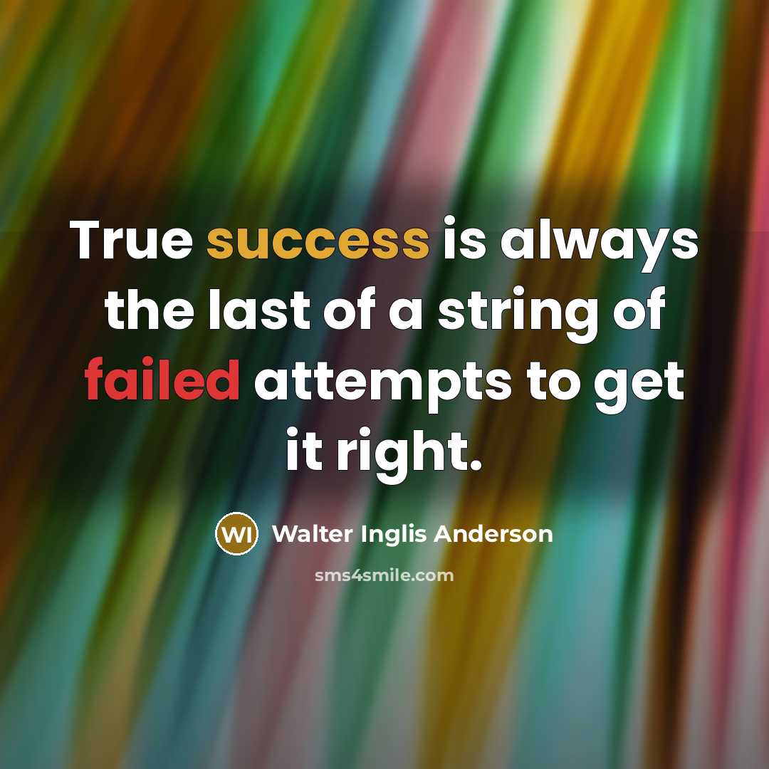 “True success is always the last of a string of…” quote by Walter Inglis Anderson