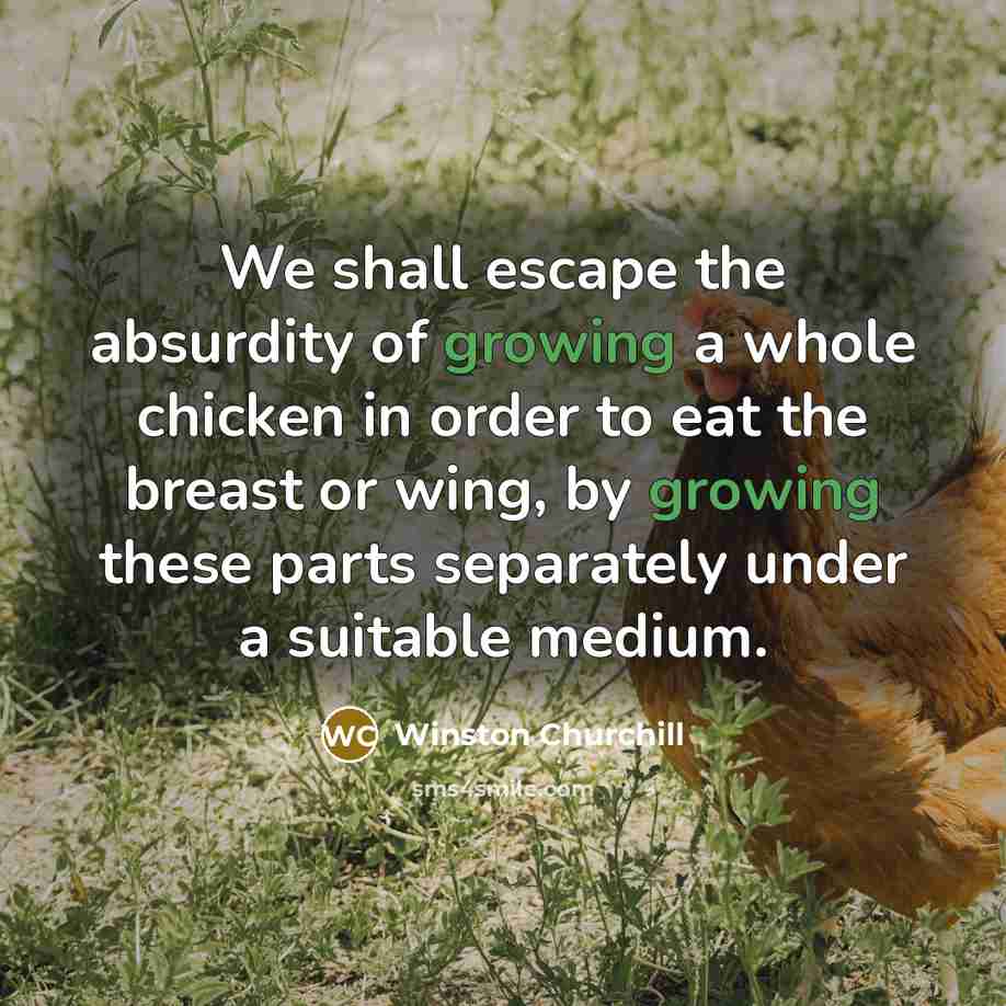 “We shall escape the absurdity of growing a whole chicken…” quote by Winston Churchill