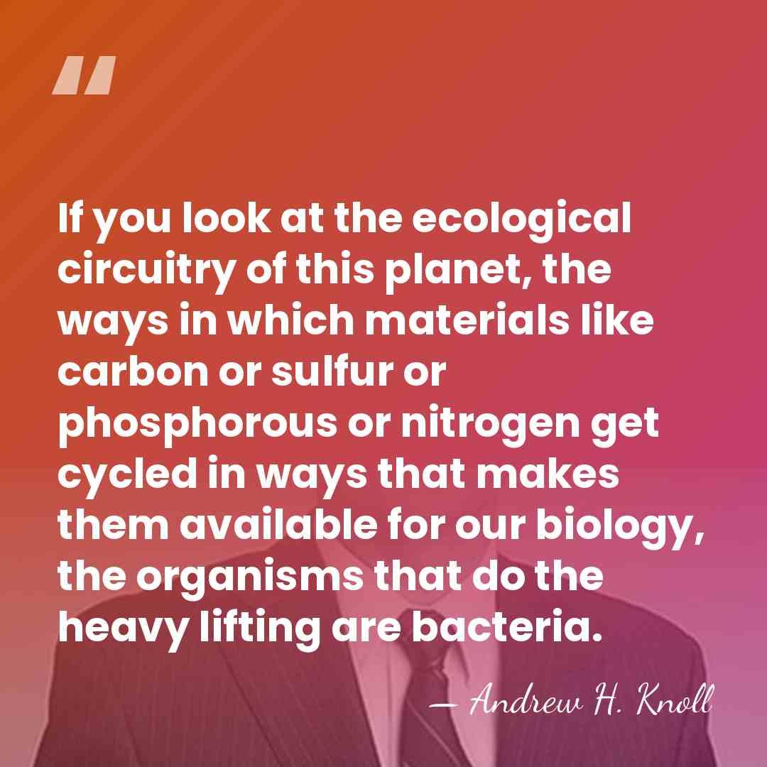 If you look at the ecological circuitry of this planet, the ways&hellip; - Andrew H. Knoll