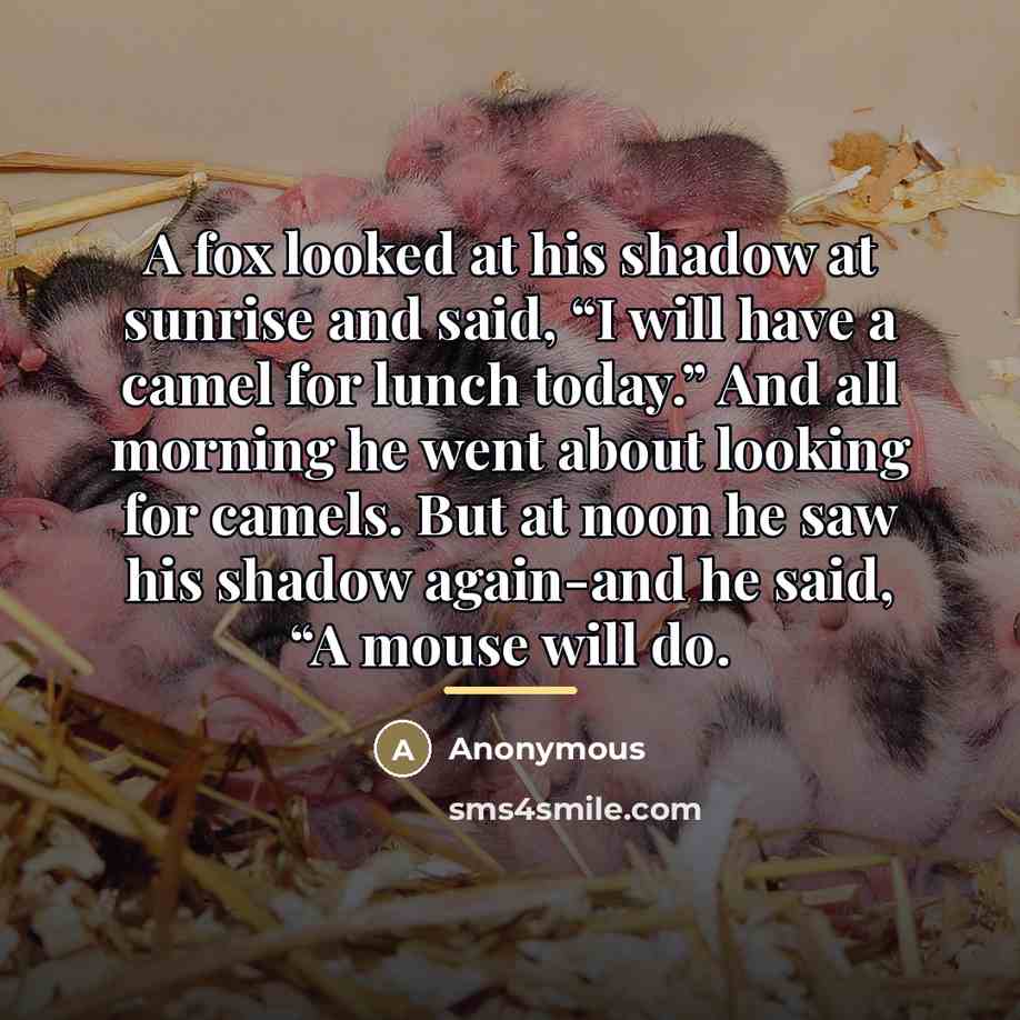 “A fox looked at his shadow at sunrise and said,…” quote by Anonymous