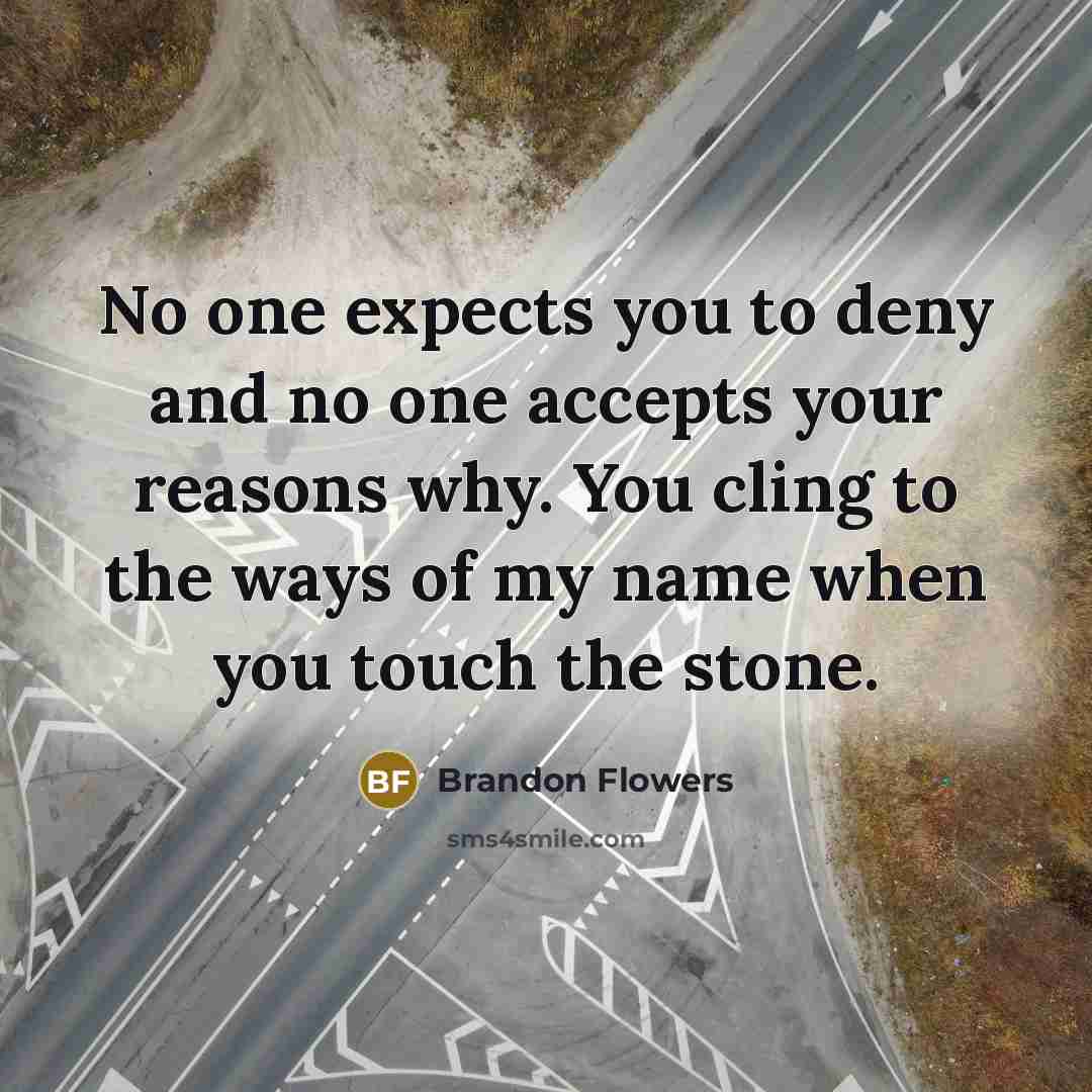 “No one expects you to deny and no one accepts…” quote by Brandon Flowers
