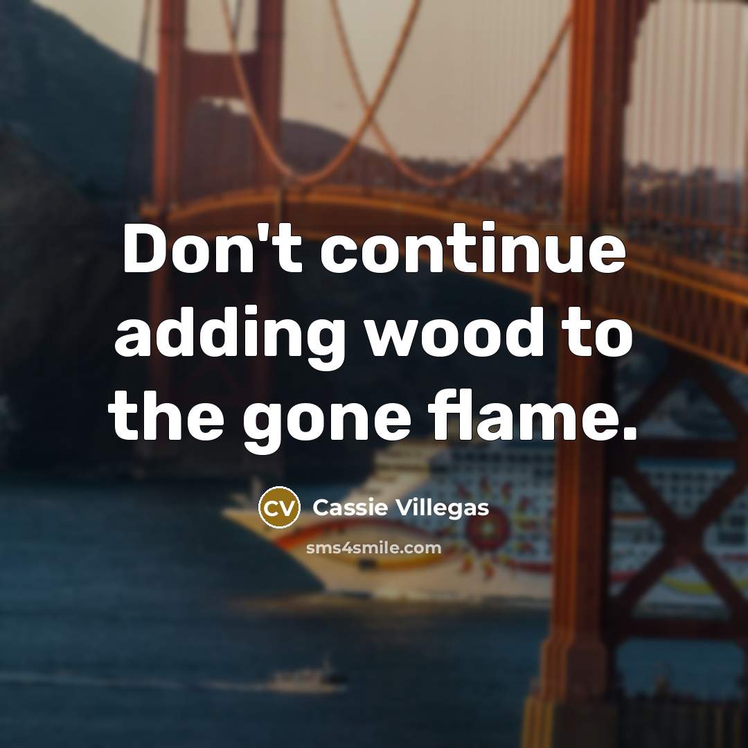 “Don't continue adding wood to the gone flame.” quote by Cassie Villegas