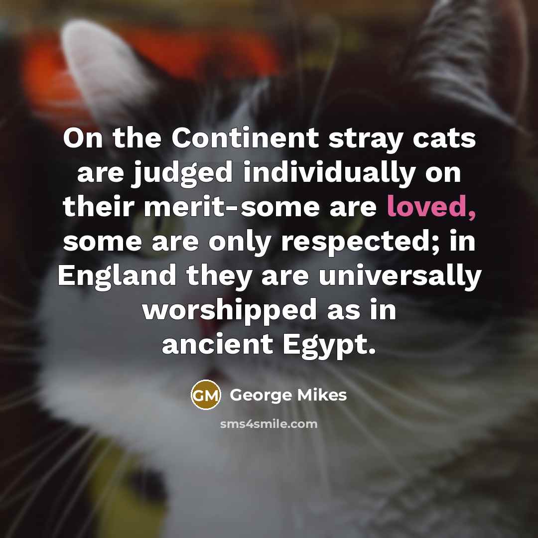 “On the Continent stray cats are judged individually on their…” quote by George Mikes