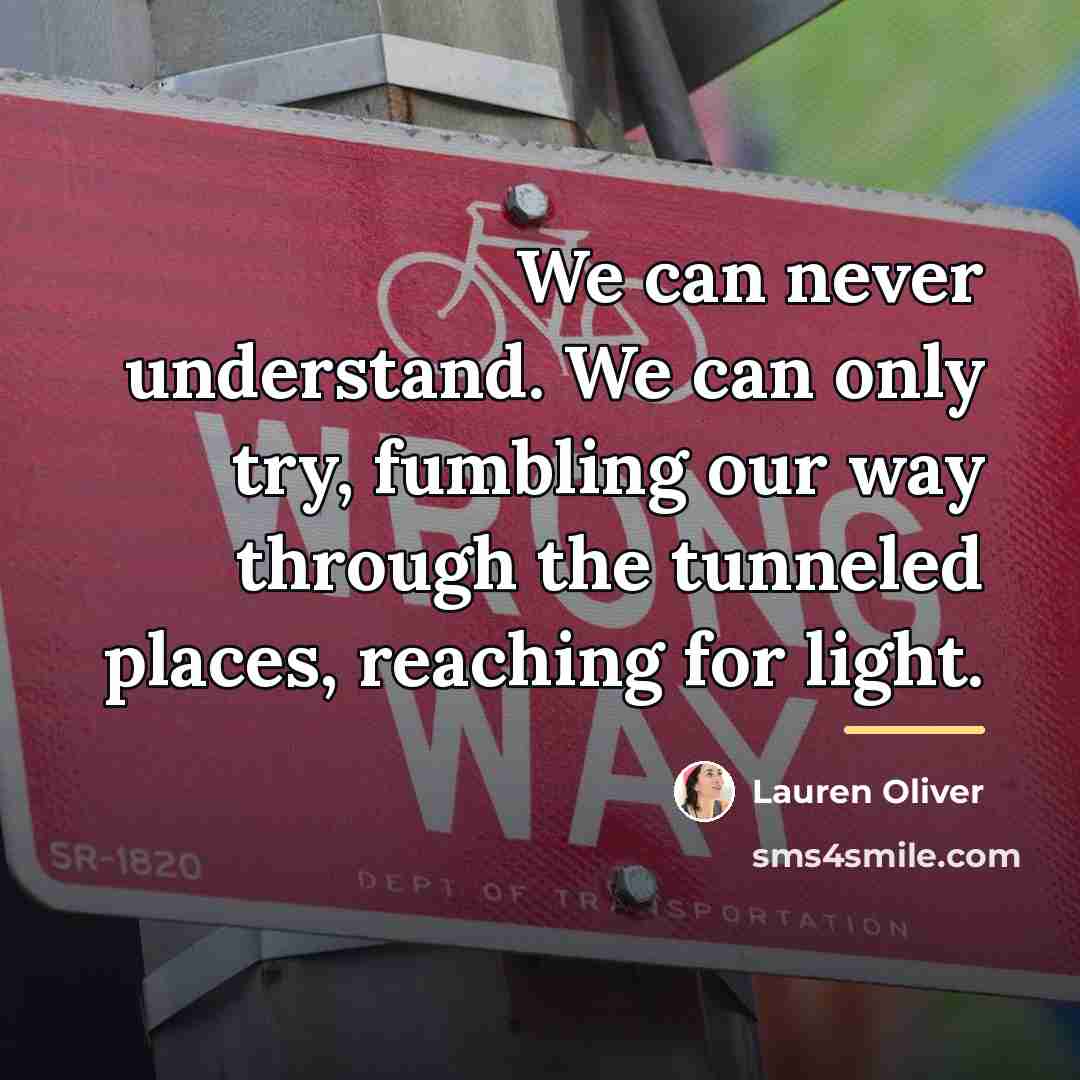“We can never understand. We can only try, fumbling our…” quote by Lauren Oliver