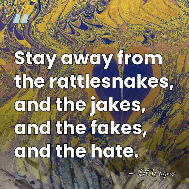 Stay away from the rattlesnakes, and the jakes, and the fakes, and&hellip; - Lil Wayne