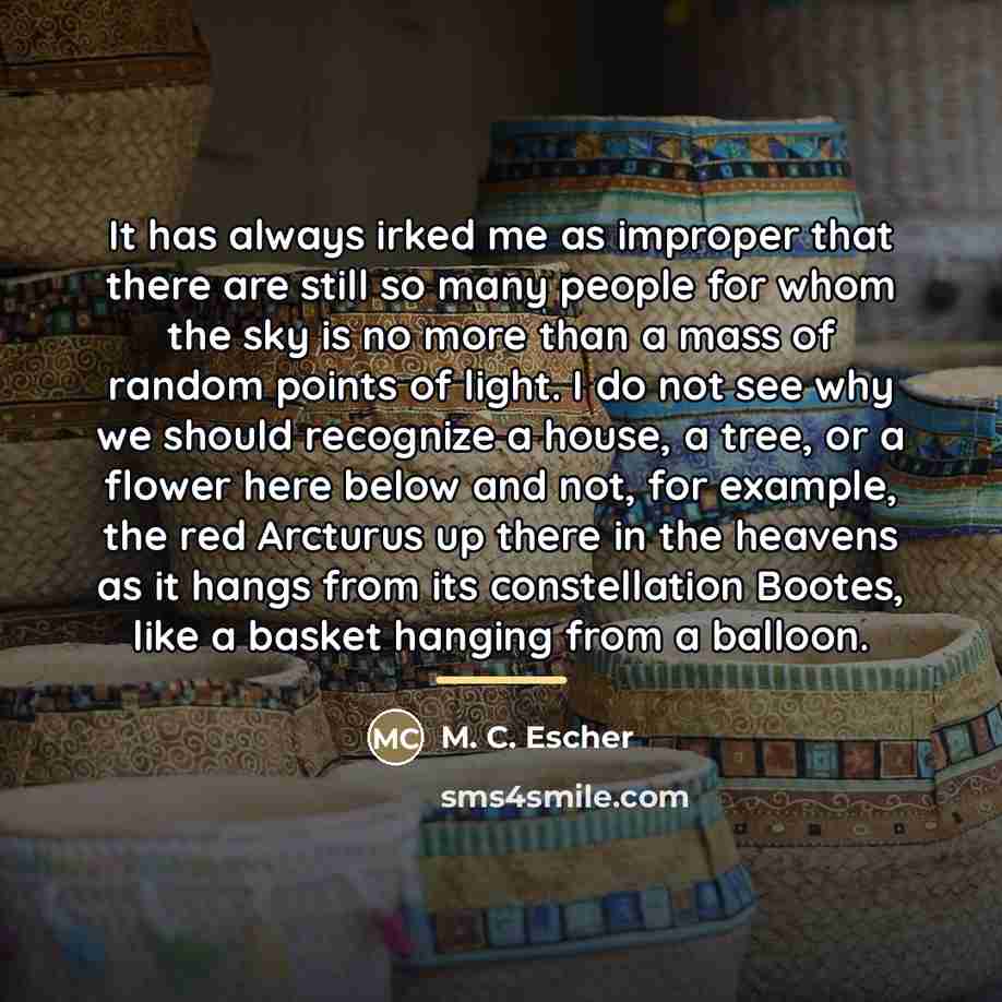 “It has always irked me as improper that there are…” quote by M. C. Escher