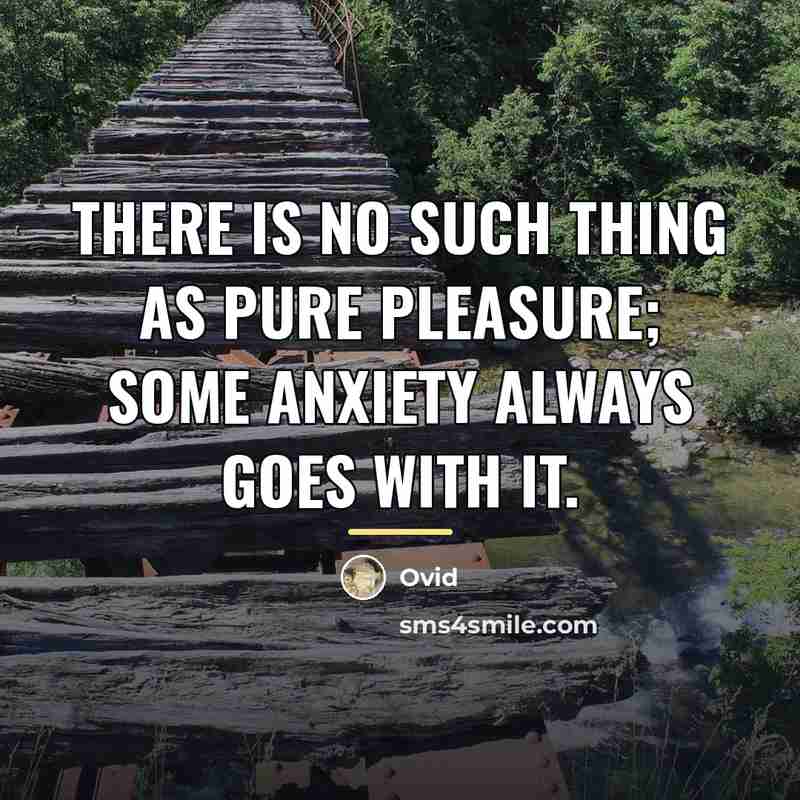 “There is no such thing as pure pleasure; some anxiety…” quote by Ovid
