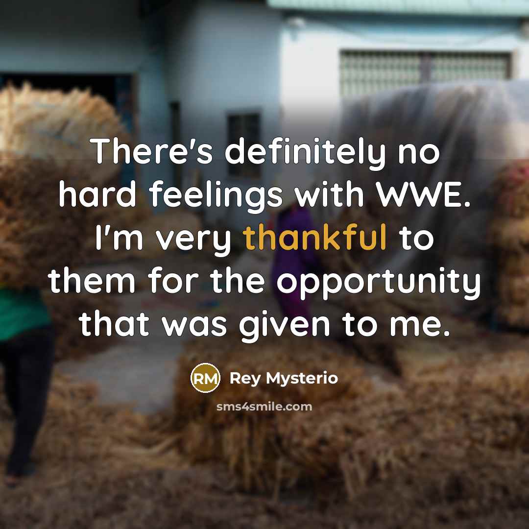 “There's definitely no hard feelings with WWE. I'm very thankful…” quote by Rey Mysterio