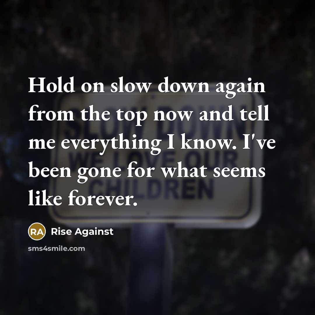 “Hold on slow down again from the top now and…” quote by Rise Against