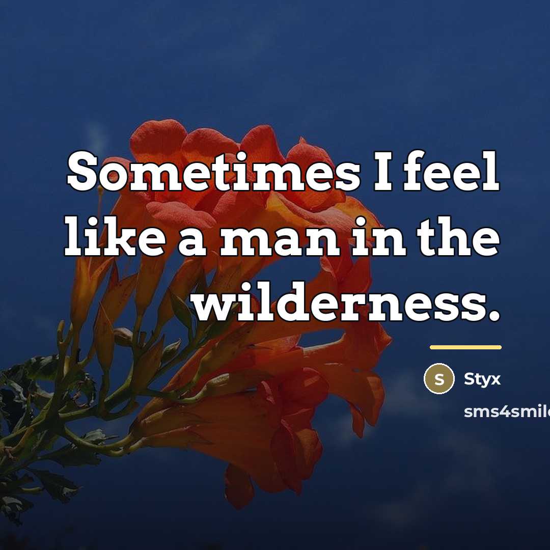 “Sometimes I feel like a man in the wilderness.…” quote by Styx