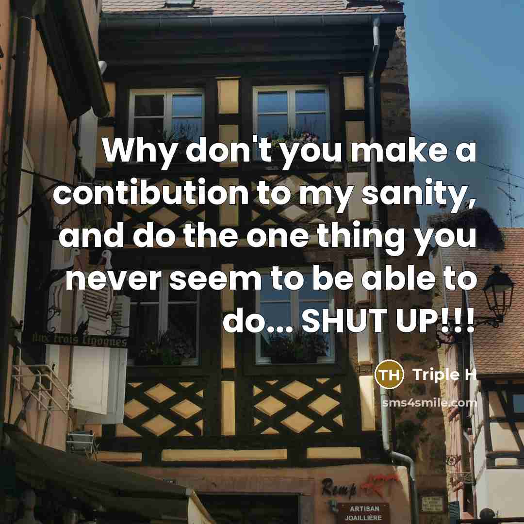 “Why don't you make a contibution to my sanity, and…” quote by Triple H