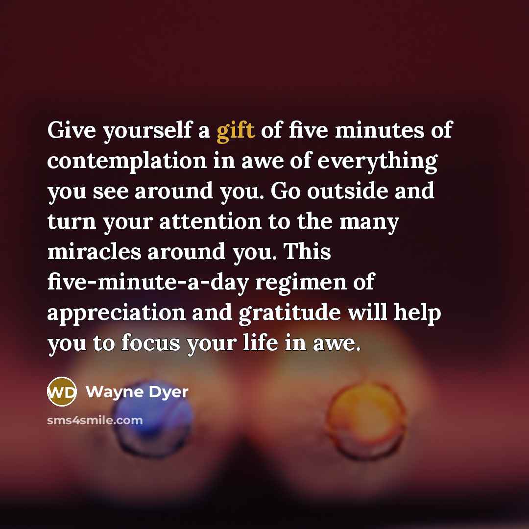 “Give yourself a gift of five minutes of contemplation in…” quote by Wayne Dyer