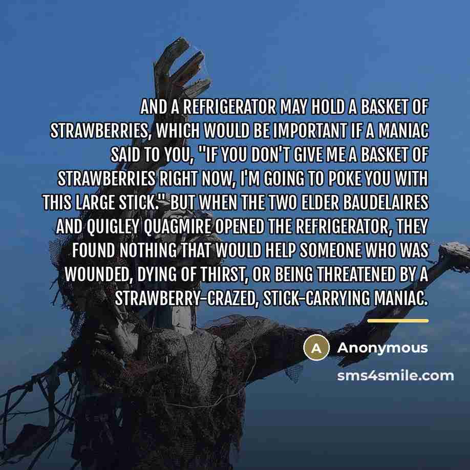 “And a refrigerator may hold a basket of strawberries, which…” quote by Anonymous