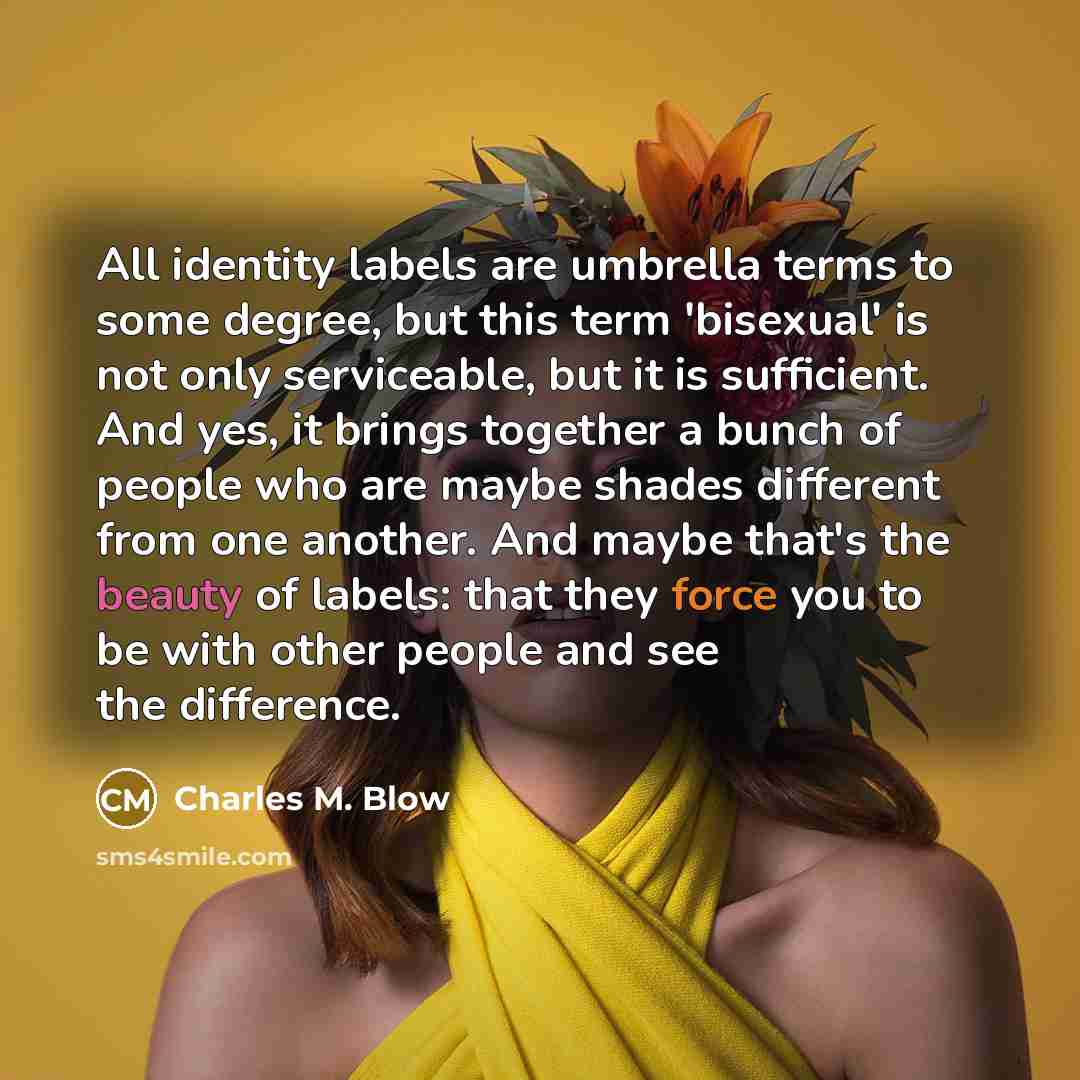 “All identity labels are umbrella terms to some degree, but…” quote by Charles M. Blow