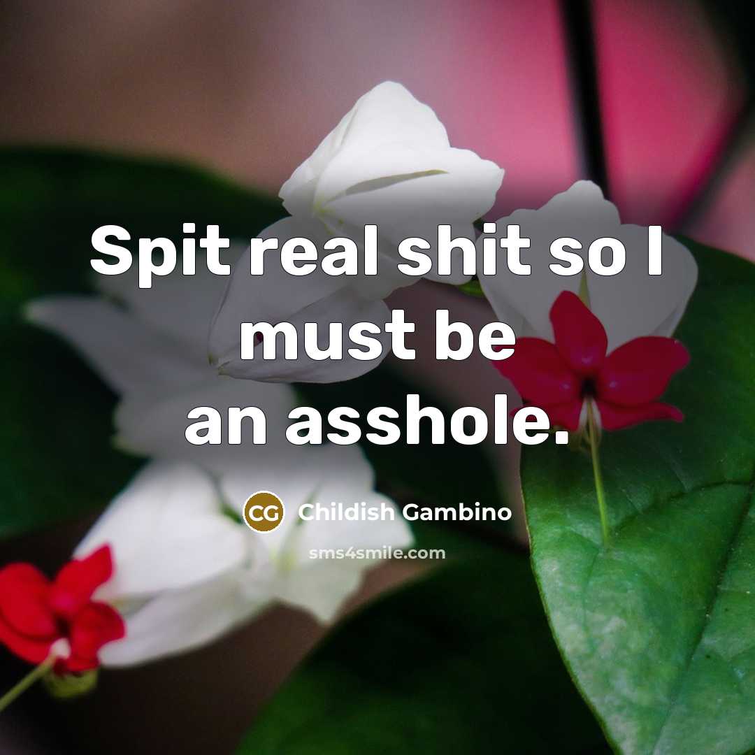 “Spit real shit so I must be an asshole.…” quote by Childish Gambino
