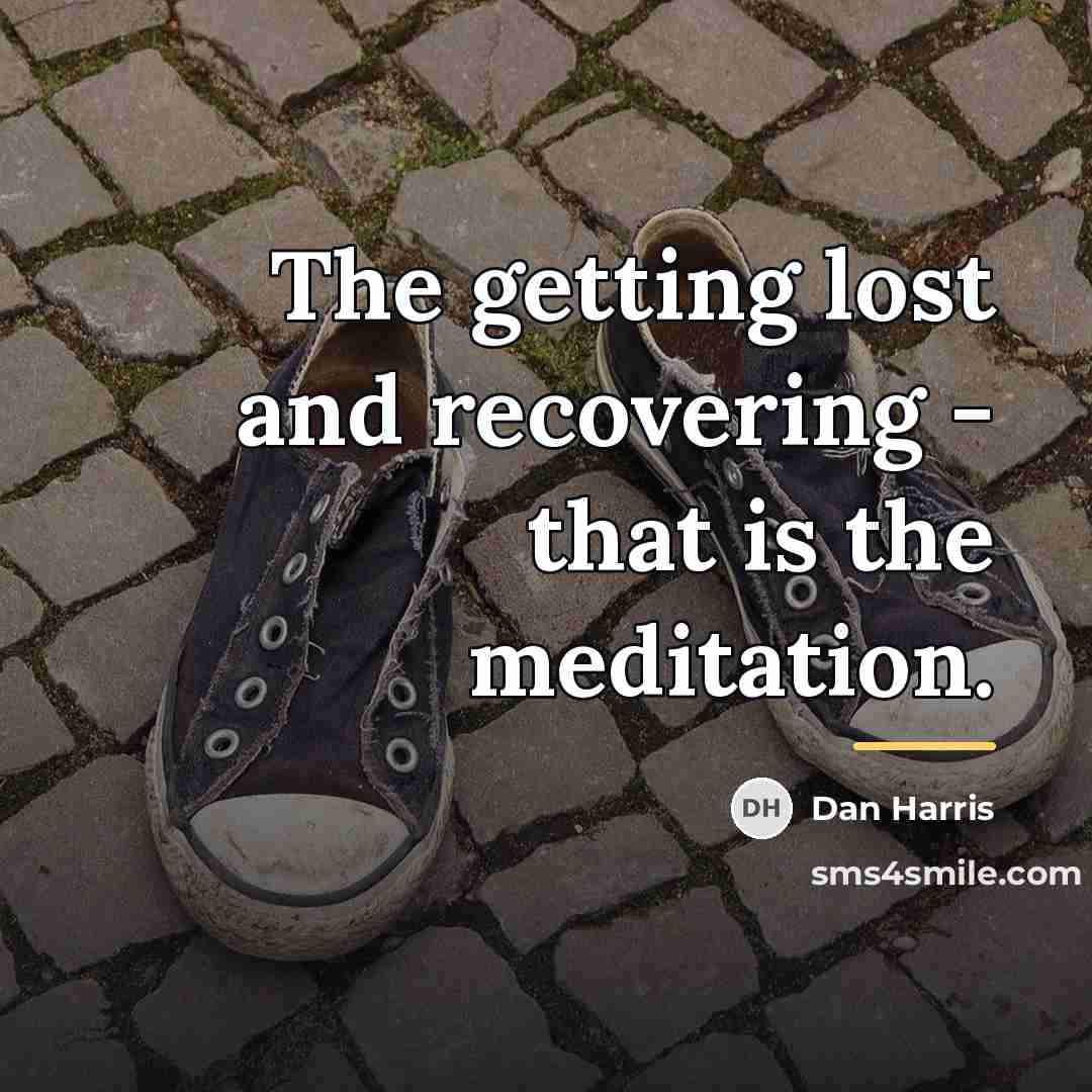 “The getting lost and recovering - that is the meditation.…” quote by Dan Harris
