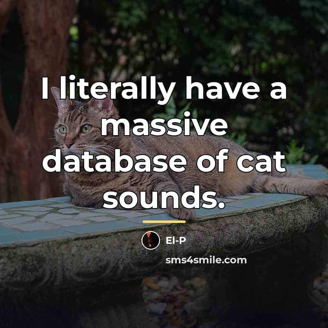 “I literally have a massive database of cat sounds.…” quote by El-P