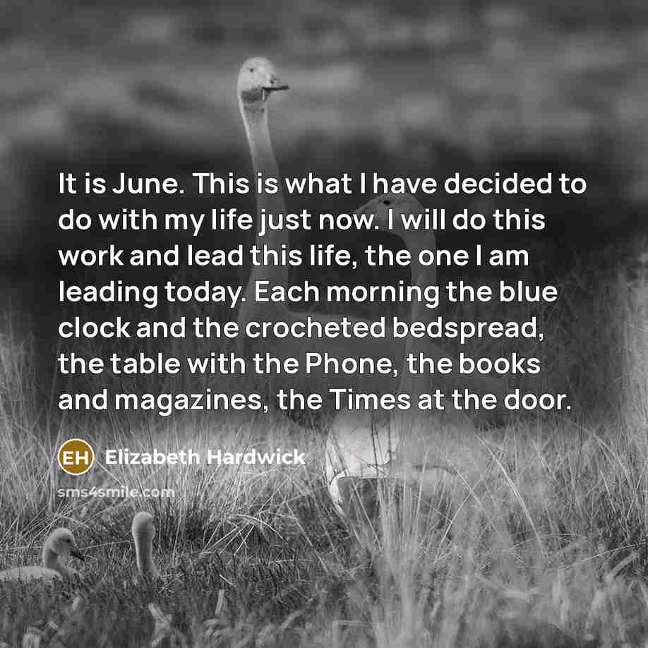 “It is June. This is what I have decided to…” quote by Elizabeth Hardwick