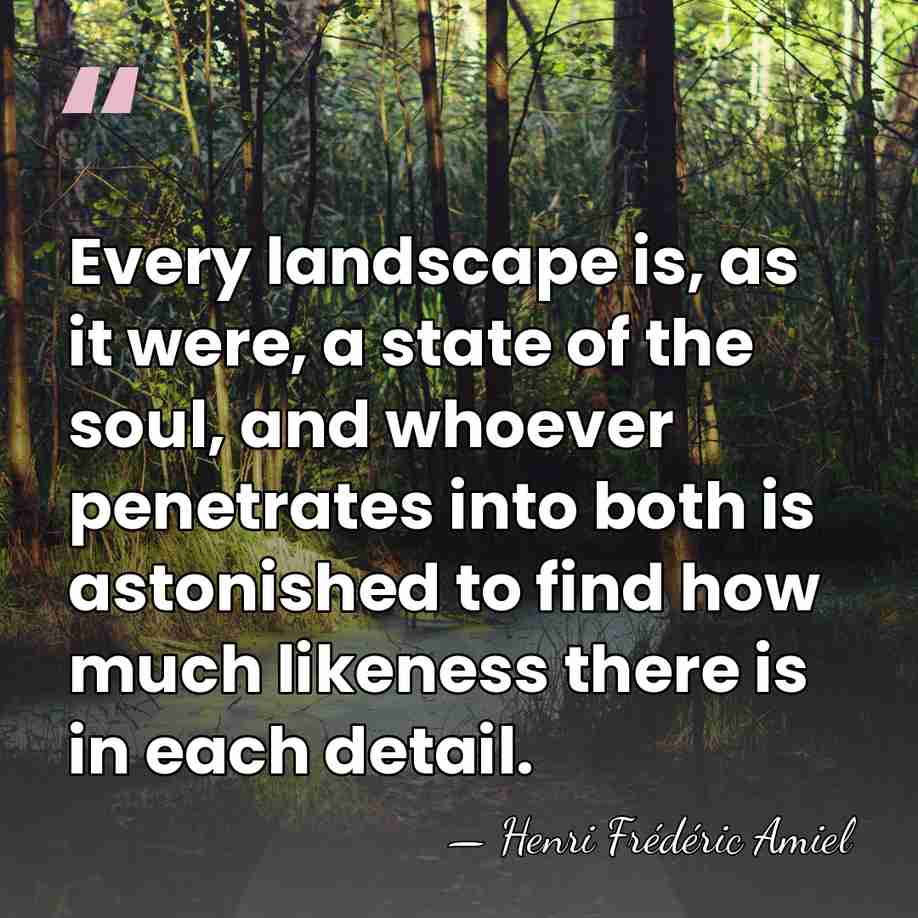 Every landscape is, as it were, a state of the soul, and&hellip; - Henri Frederic Amiel
