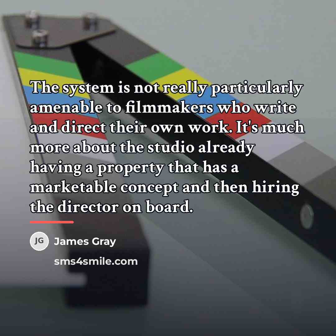 “The system is not really particularly amenable to filmmakers who…” quote by James Gray